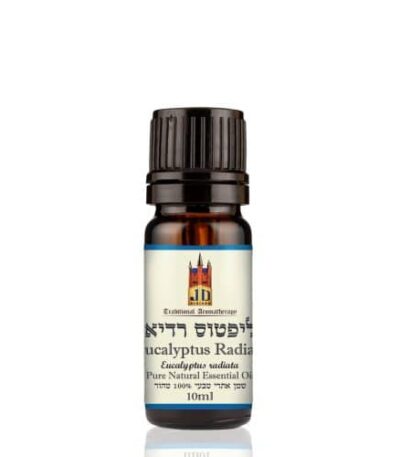 אקליפטוס רדיאטה | שלוס