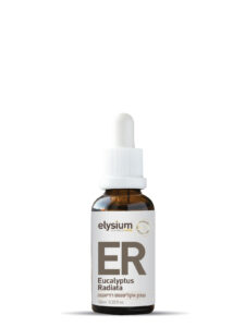 שמן אתרי אקליפטוס רדיאטה | אליסיום