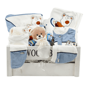 מתנה ליולדת